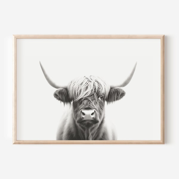 Highland Cow Print, Farm Animal Wall Art, Digital Download, Cow Poster, Animal Portrait, Black and White, Yak Print, Animal Photography