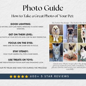 a picture of a cat and a dog on a white background