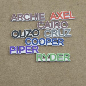 Custom Name Croc Charms Personalized 3D Printed Jibbitz Letter Text Shoe Clips Gift Kids Adults Sports Team Bulk Available