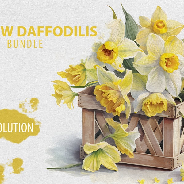 Watercolor Yellow Daffodils Clipart PNG, Spring Flowers, White Background, Scrapbooking bundle, Birthday, digital download, commercial use