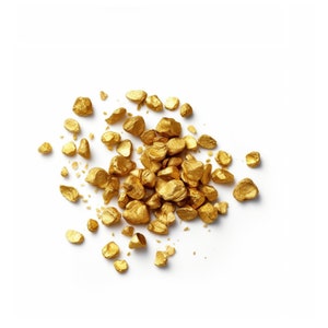 Big Nugget Gold Paydirt - 3 grams of gold nuggets guaranteed