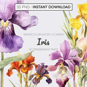 Puede incluir: Ilustración de acuarela de 50 flores de iris diferentes en varios colores, incluyendo morado, amarillo, naranja y blanco. Las flores están pintadas en un estilo realista y tienen un toque delicado y caprichoso. La imagen es perfecta para usar en scrapbooking digital, creación de tarjetas y otros proyectos creativos.