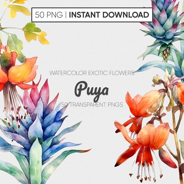 50 PNG Puya Floral Clipart Collection: Watercolor Wild Flowers, Floral Clipart, Wedding Clipart and Exquisite Wild Flowers