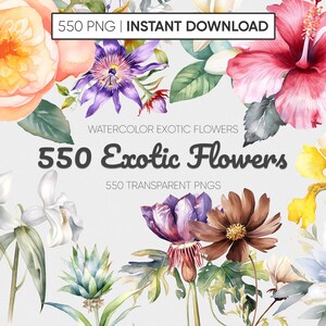 550 PNG Mega Bundle Exotic Floral Clipart Collection: Watercolor Wild Flowers, Floral Clipart, Wedding Clipart and Exquisite Wild Flowers