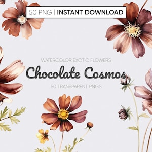 50 PNG Chocolate Cosmos Wild Floral Clipart Collection: Watercolor Wild Flowers, Floral Clipart, Wedding Clipart and Exquisite Wild Flowers