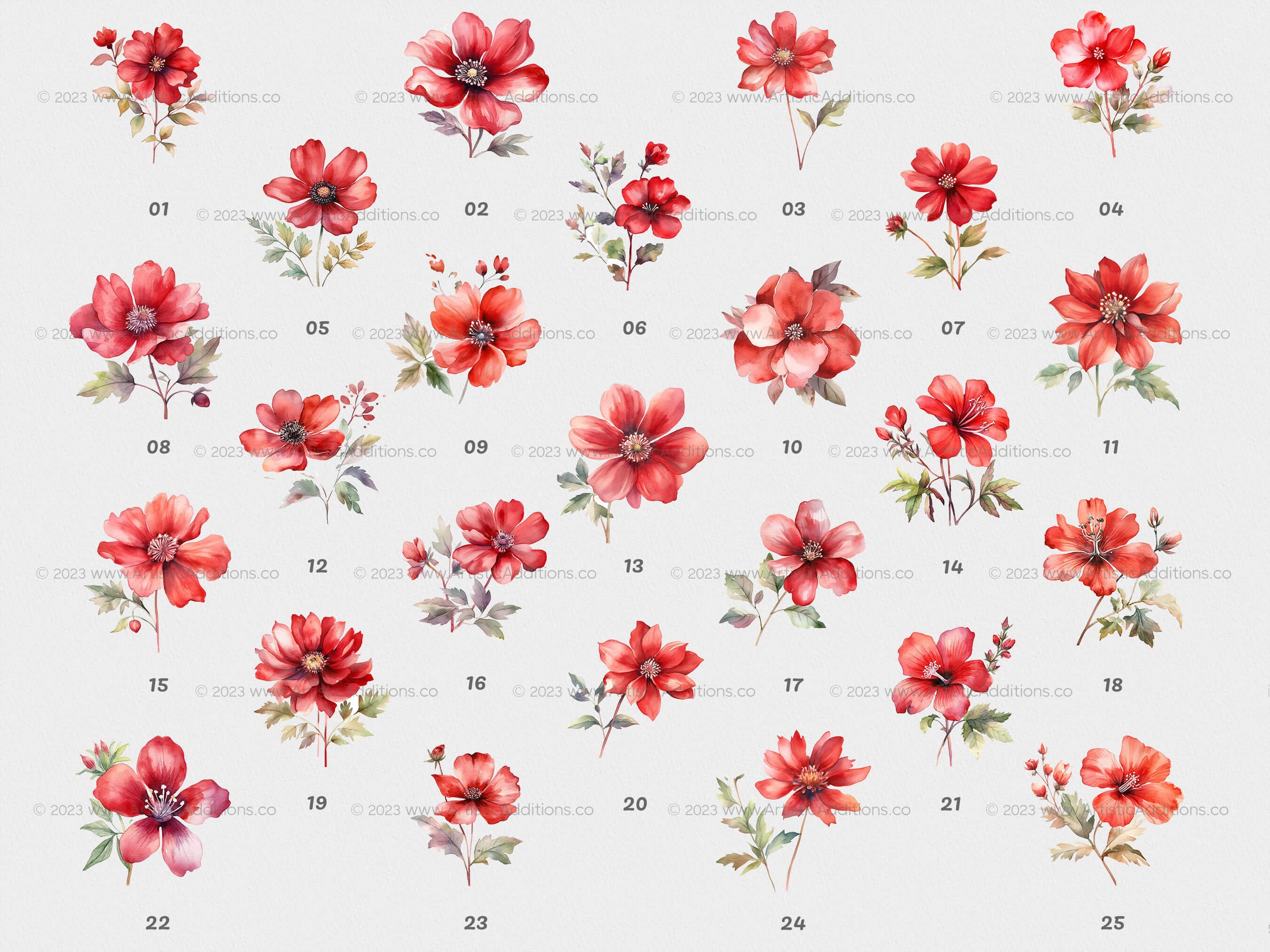 50 PNG Middlemist Red Floral Clipart Collection: Watercolor Wild ...