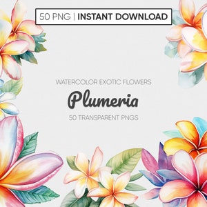 50 PNG Plumeria Floral Clipart Collection: Watercolor Wild Flowers, Floral Clipart, Wedding Clipart and Exquisite Wild Flowers