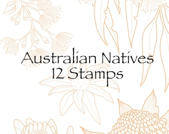 AUSTRALIAN NATIVES PROCREATE Stamps Procreate Brushes