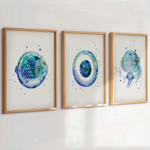 Set 3 Watercolor Eye Anatomy Prints Human Eye Structure Poster Pupil Art Optometry Art Medical Wall Decor Clinic Decoration