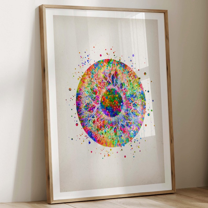 May include: A framed art print featuring a colorful, abstract depiction of an eye iris. The artwork showcases a vibrant array of colors, including red, yellow, green, and blue, with a detailed, radial pattern. The print is encased in a light brown wooden frame.