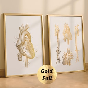 2 hart aorta cardiologie kunst anatomische hart print anatomie posters cardiovasculair systeem diagram cardioloog cadeau hartoperatie goudfolie