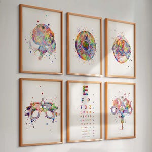 Könnte beinhalten: Sechs gerahmte Aquarelldrucke mit Holzrahmen. Die Drucke zeigen augenbezogene medizinische Illustrationen, darunter eine Sehtafel, ein Auge und ein Augenuntersuchungsgerät. Die Kunstwerke weisen einen farbenfrohen, abstrakten Stil mit weißem Hintergrund auf.