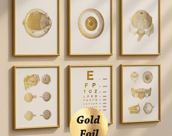 6 Gold Augen Anatomisch Medizinische Kunst Augendiagnostik Poster Optometrie Kunst Augenarzt Geschenk Augenoptiker Büro Geschenk