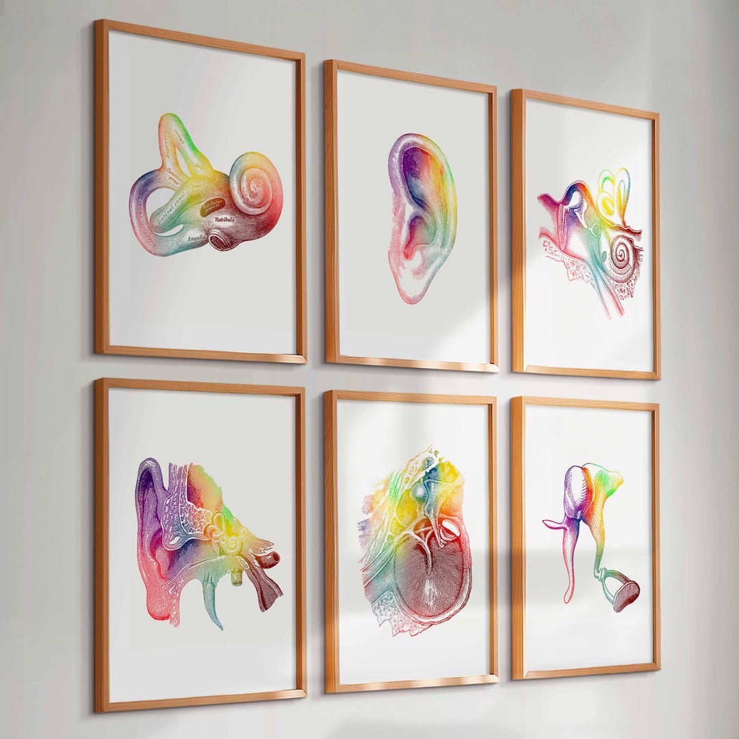 6 Watercolor Ear Anatomy Prints Audiology Art Inner Ear Diagram Cochlea ...