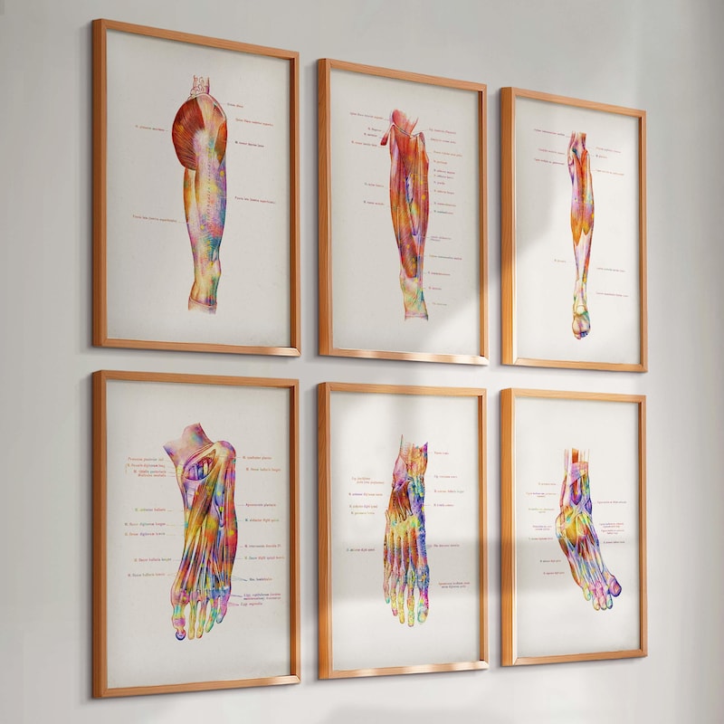 Podiatry Posters - Etsy - Page 5