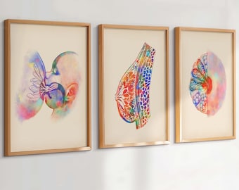 May include: Three framed art prints depicting watercolor illustrations of the female breast and breastfeeding. The artwork features a colorful, anatomical style with a focus on the breast's internal structures and the act of nursing.