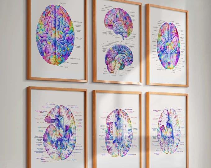 3 Gold Brain Anatomy Art Neurology Art Medical Art Clinic Wall Decor ...