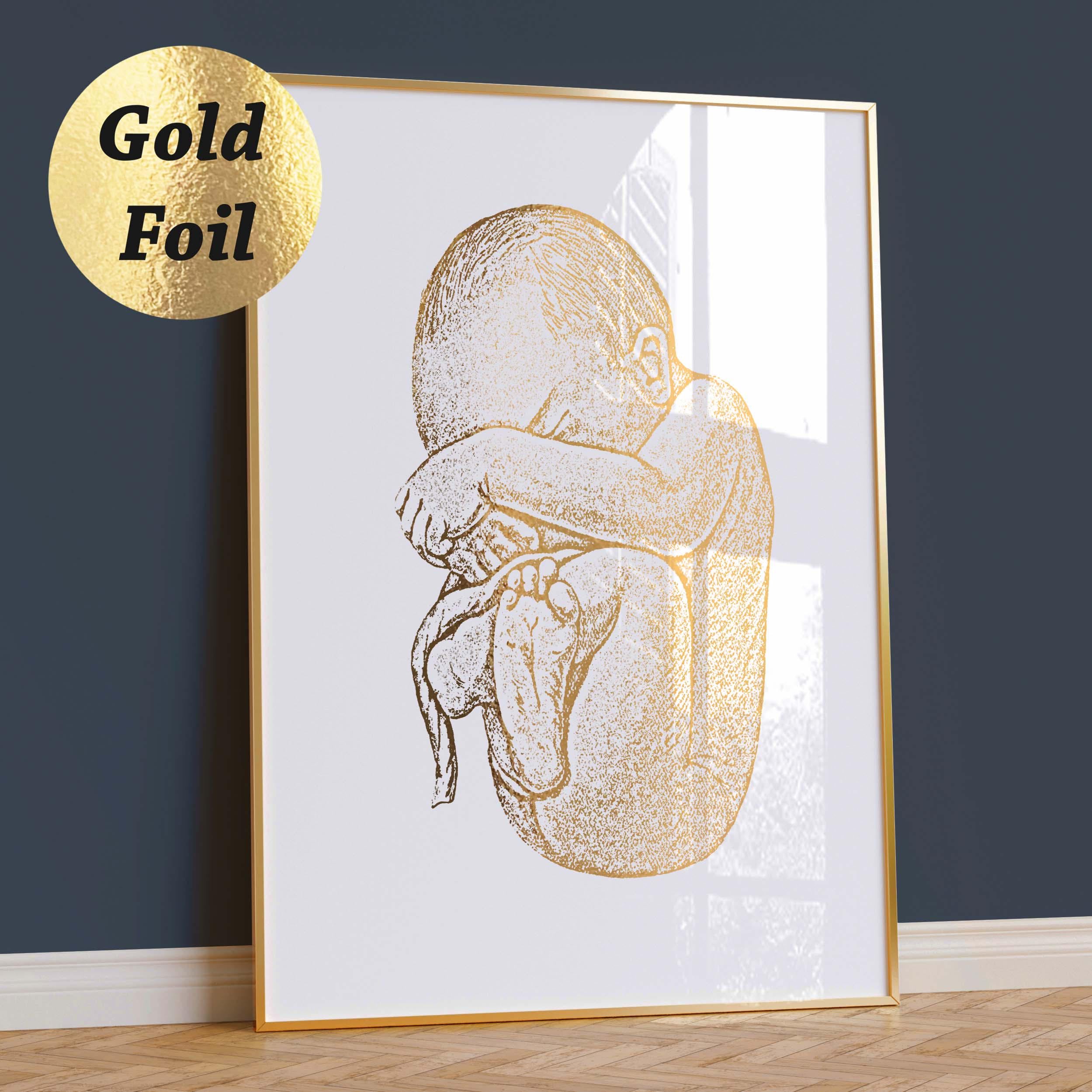 Baby in Womb Poster - Etsy