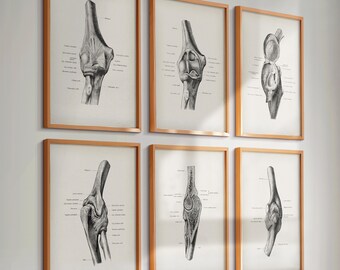 Set 6 Vintage Elbow Anatomy Posters Elbow Joint Diagram Orthopedic Art Medical Art Skeletal System Art Surgery Art Science Art Doctor Gift