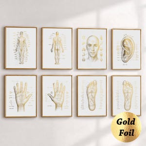 Op de afbeelding: Een set van acht ingelijste wandkunstprints met goudkleurige anatomische diagrammen van het menselijk lichaam, inclusief het hele lichaam, gezicht, oor, hand en voet, met gedetailleerde lijnen en tekst op een witte achtergrond.