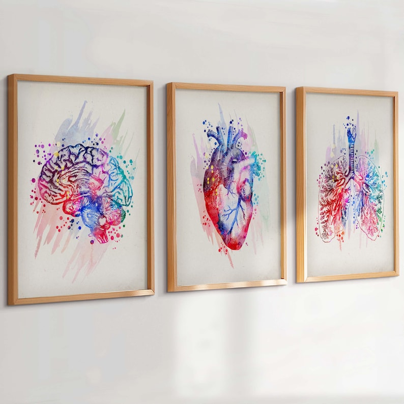 Set 3 Watercolor Anatomy Art Brain Poster Anatomical Heart Print Human ...