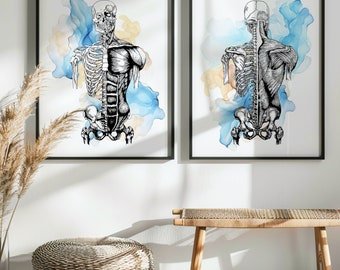 2 Musculoskeletal System Art Watercolor Anatomy Art Medical Art Muscular System Skeletal System Posters Surgeon Gift Doctor Office Decor