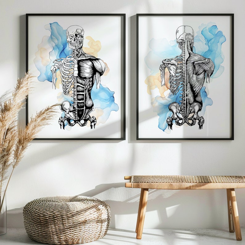 2 Musculoskeletal System Art Watercolor Anatomy Art Medical Art ...