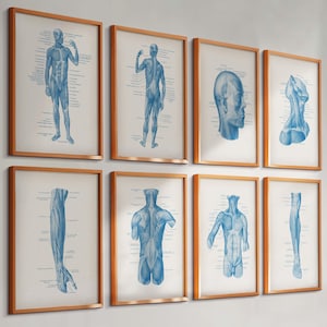 Anatomy Wall Art Set of 8 | Human Body Muscle Medical Prints | Vintage Anatomy Posters | Doctor Office Decor | Medical Student Gift