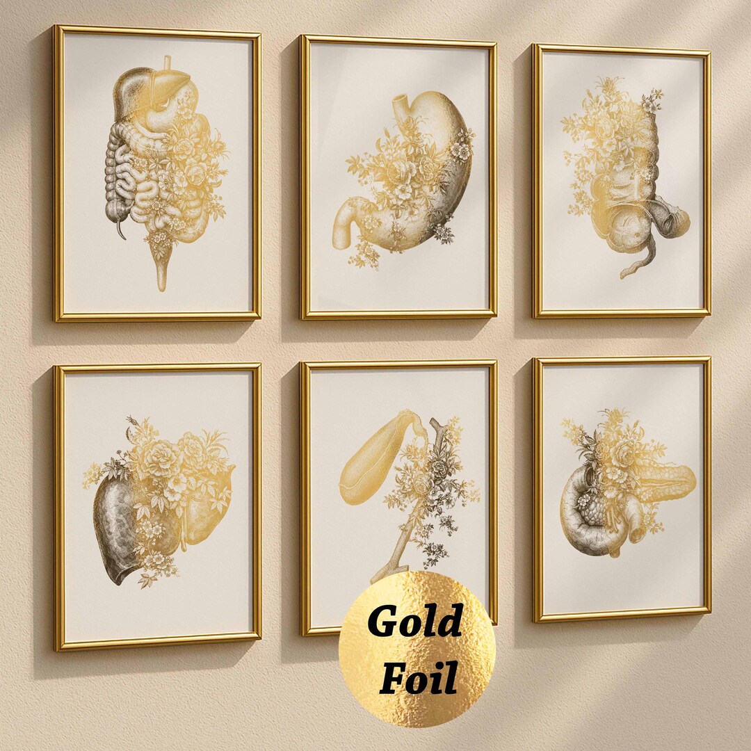Set 6 Digestive System Anatomy Print Floral Stomach Liver Pancreas ...
