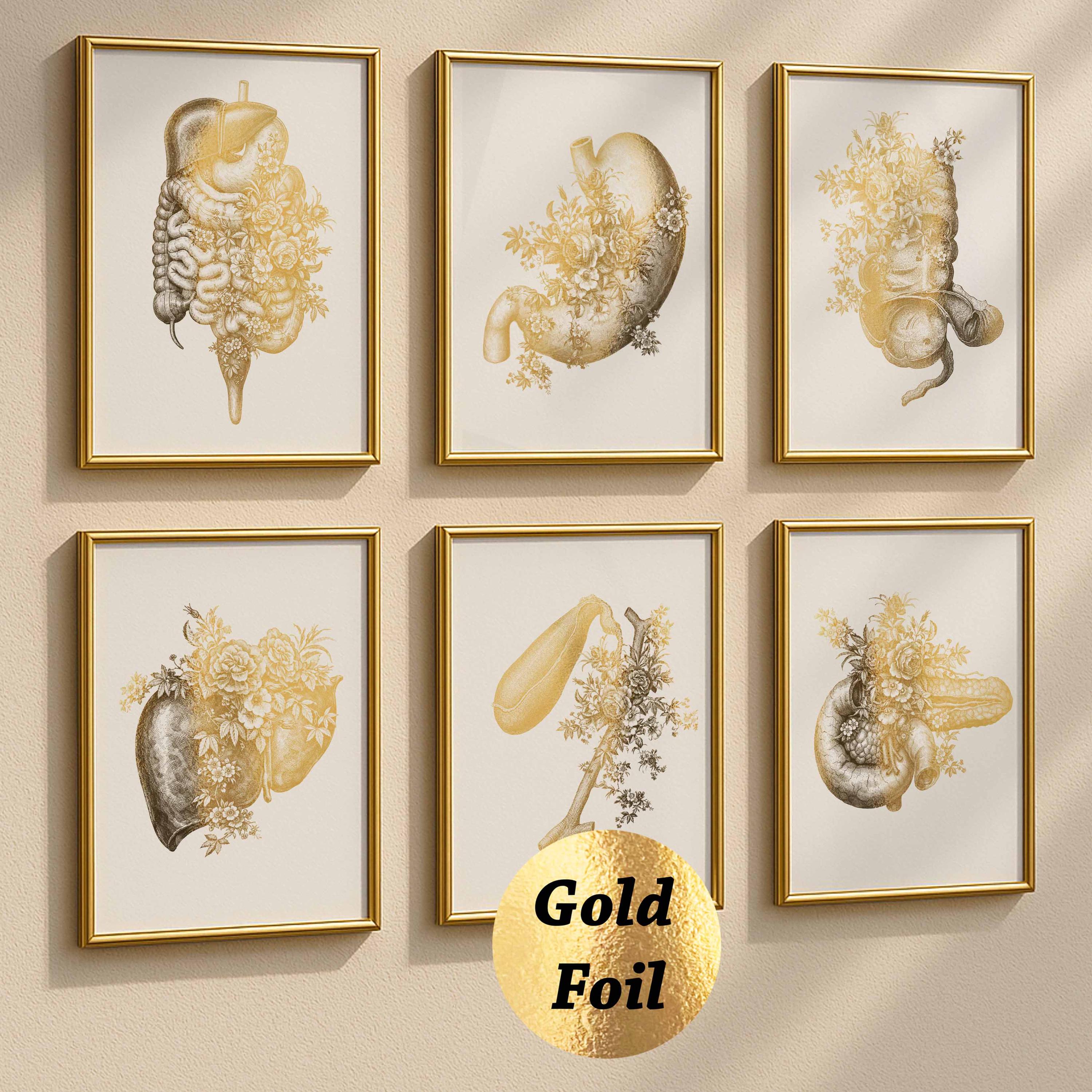 Set 6 Digestive System Anatomy Print Floral Stomach Liver Pancreas ...