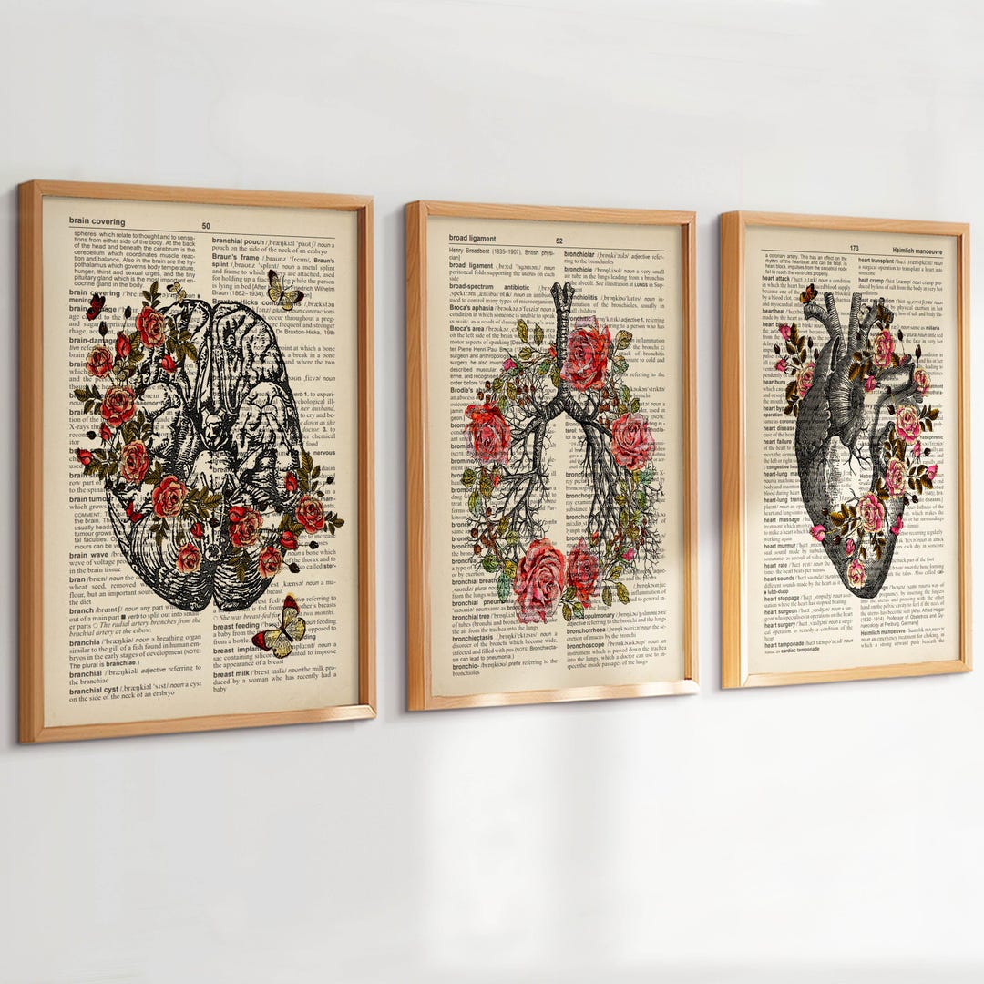 Set 3 Vintage Anatomy Art Medical Art Dictionary Art Anatomical Heart ...