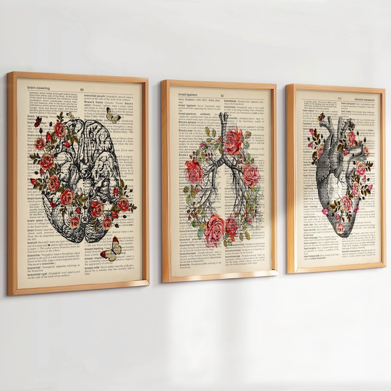 Set 3 Vintage Anatomy Art Medical Art Dictionary Art Anatomical Heart ...