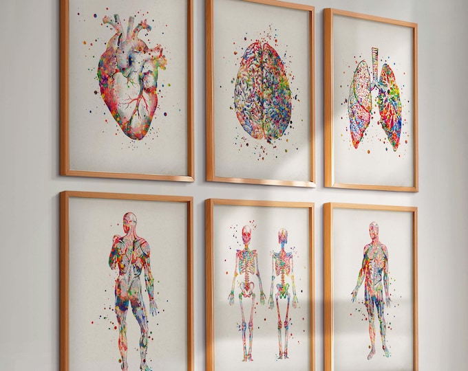 Anatomy Art Set, Brain Heart Lungs Wall Art, Medical Student Gift ...