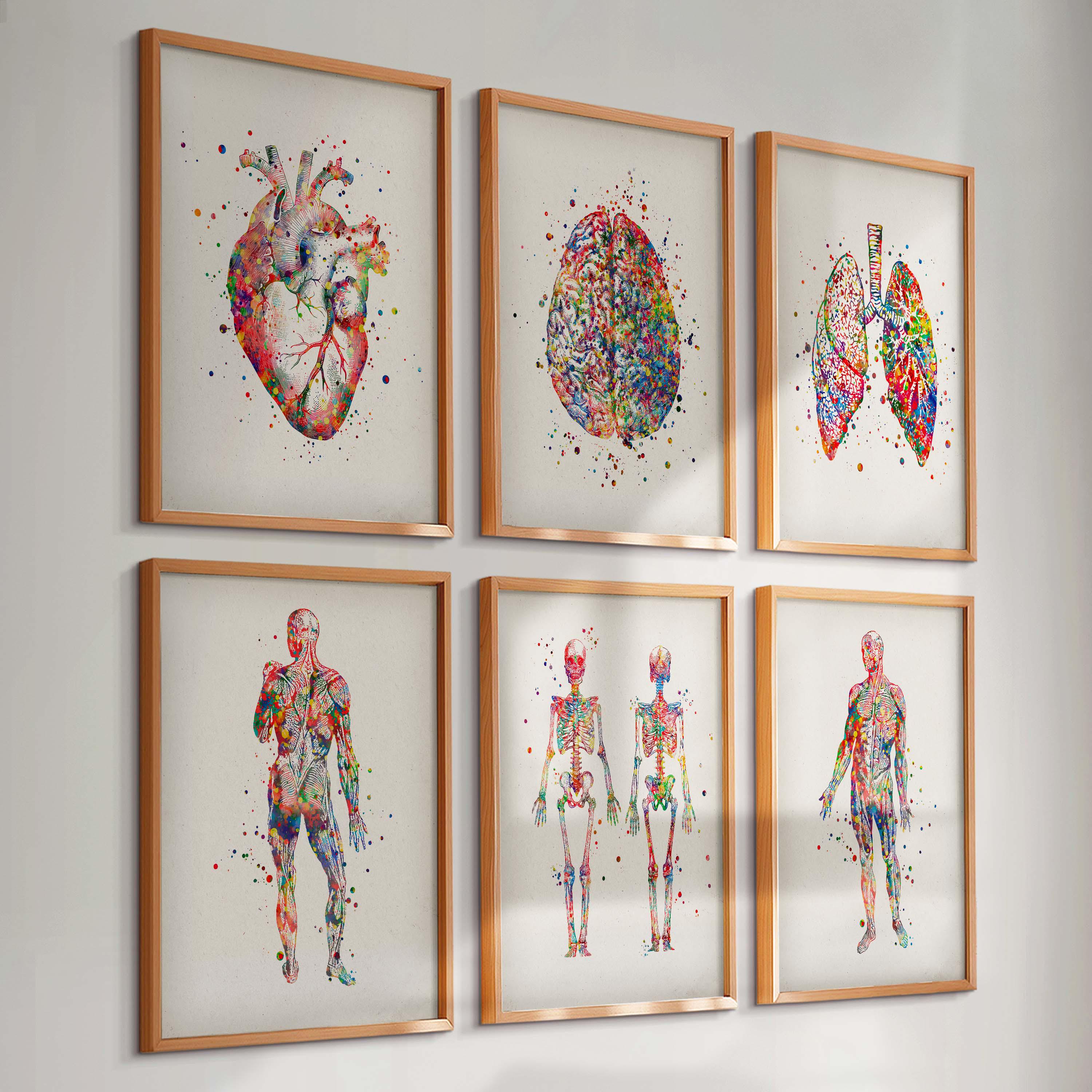 6 Watercolor Anatomy Art Prints Medical Artwork Human Heart Print ...