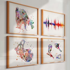 May include: Four framed watercolor prints featuring anatomical illustrations of the ear and a sound wave. The prints have wooden frames and showcase vibrant colors, including red, blue, green, and yellow, against a white background.