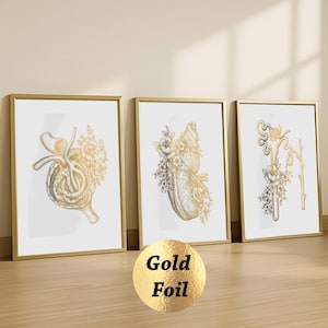 May include: Three framed art prints with gold frames, featuring anatomical illustrations of organs with floral accents. The prints are in a row, leaning against a wall. The text "Gold Foil" is on a gold circle in front of the prints.