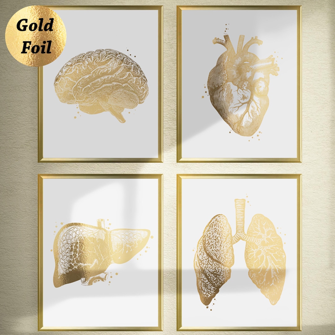 Set 4 Gold Anatomy Art Anatomical Heart Brain Lungs Liver Medical Art ...