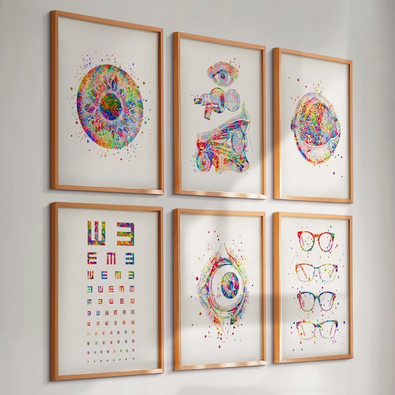 6 Watercolor Eye Anatomy Art Prints Optometry Art Eye Diagram Optician Office Decor Eye Diagnostic Art Eye Clinic Decoration