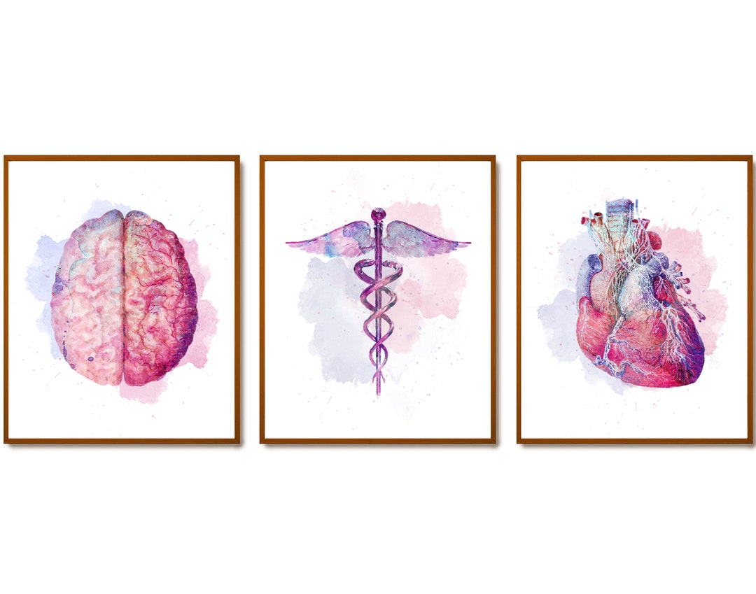 3 Watercolor Anatomy Art Medical Poster Clinic Wall Decor Anatomical ...