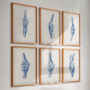 6 Vintage Elbow Anatomy Posters Elbow Joint Print Orthopedic Art Hand Diagram Medical Art Kinesiology Art Orthopedic Surgeon Gift Clinic Art