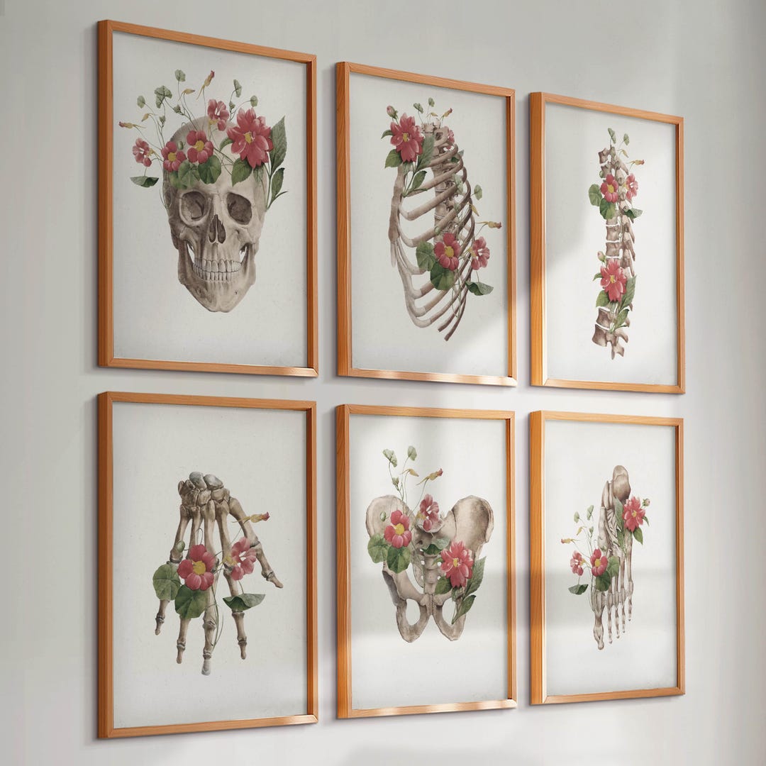 6 Vintage Skeleton Anatomy Art, Floral Skeletal System, Orthopedic Art ...