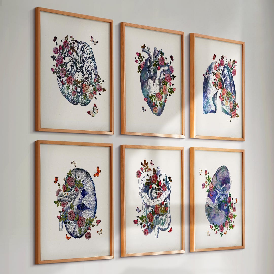 Set 6 Vintage Anatomy Art Floral Anatomy Medical Art Human Heart Art ...