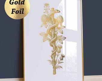 Goldener Stab des Asklepios, Medizinsymbol, Heilkunst, Arztpraxis Geschenk, Arzt Geschenk, Krankenschwester Geschenk, Med Studenten Geschenk, Goldfolie Druck