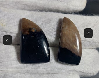 Palm root Agate,Natural Palm Root Agate ,Palm Root Cabochon,Palm Root Agate Jewelry,Loose Gemstone,Jewelry Making,Loose Cabochons,Loose Oval