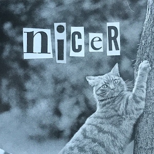 Nicer Zine: Issue 2