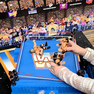 May include: A blue and red wrestling ring toy with three action figures. The ring has red and white ropes and the WWE logo. The background is a crowd scene from a wrestling event.