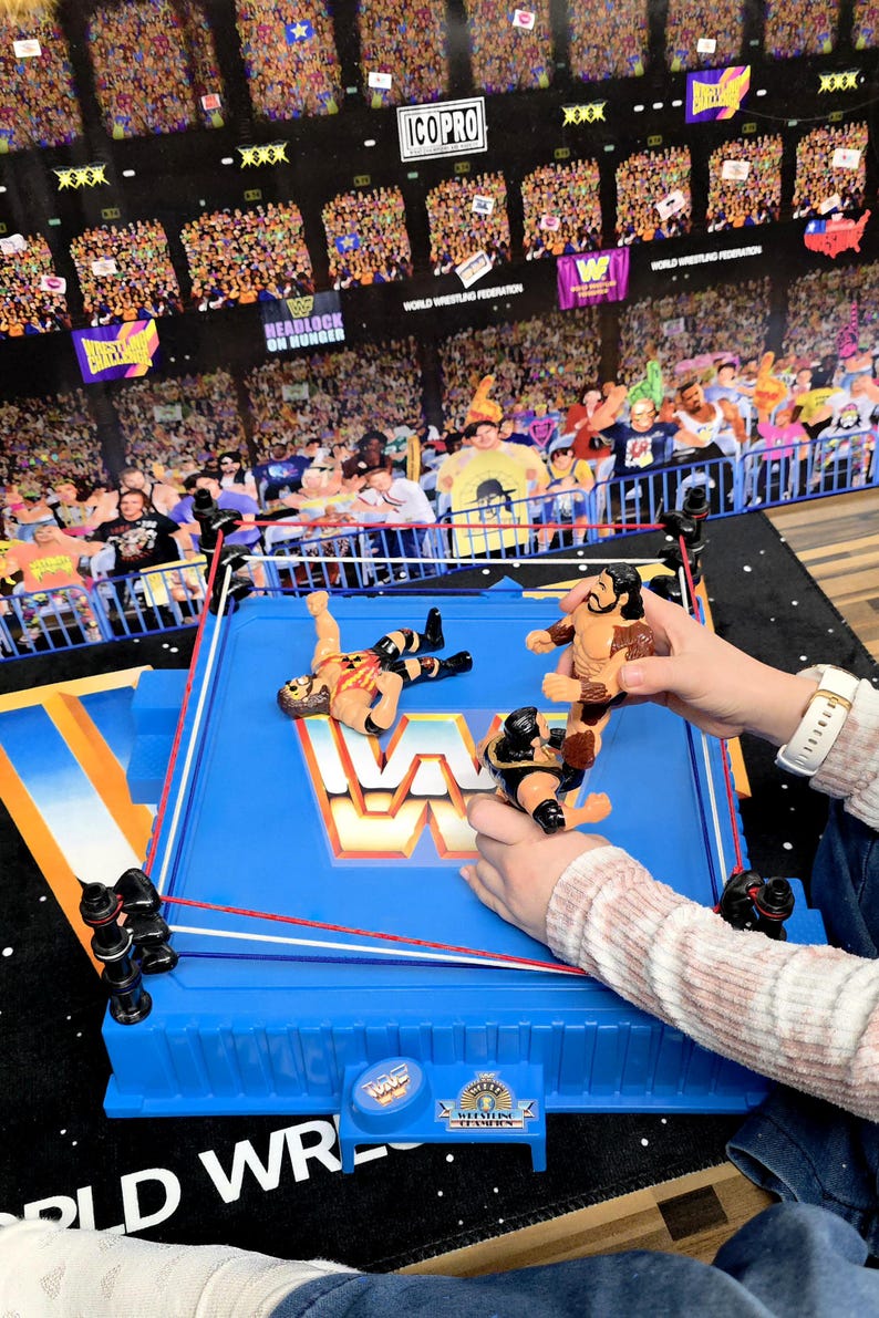 May include: A blue and red wrestling ring toy with three action figures. The ring has red and white ropes and the WWE logo. The background is a crowd scene from a wrestling event.