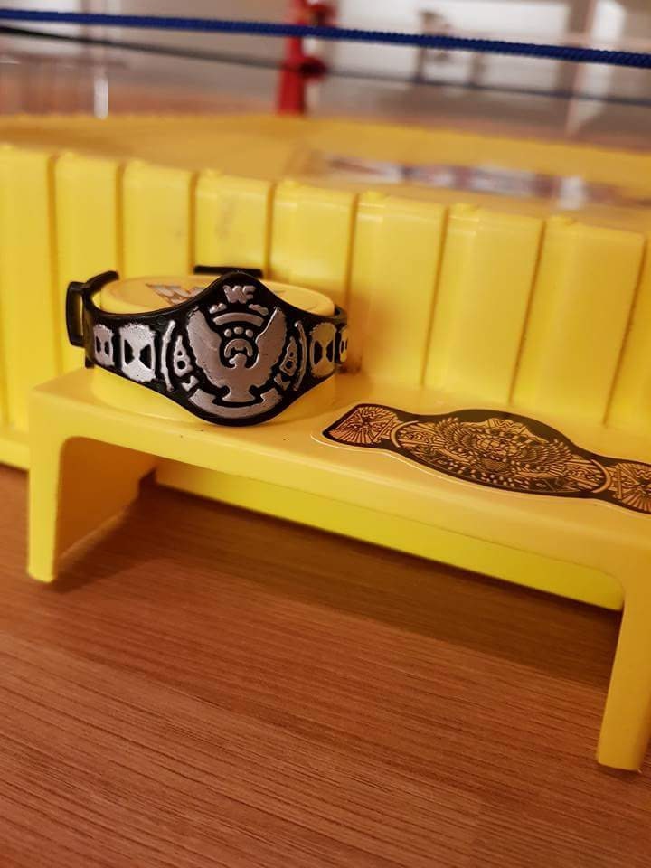 Wwe Wrestling Ring Official Sticker Album WWF Wrestling Superstars