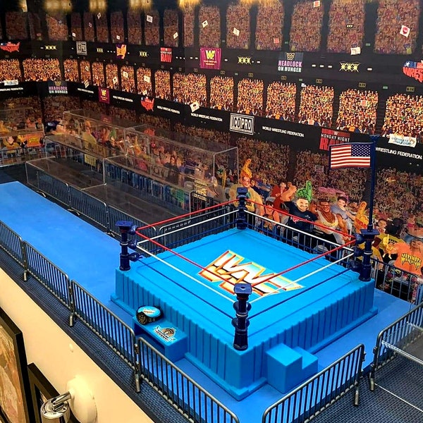 WWF klassieke worstelen Figuren CROOD achtergrond Hasbromaniacs Hasbro Mattel Retro Jakks Galoob wwe achtergrond WrestleMania lod Arena Poster wcw