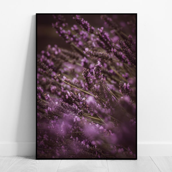 Lavendel Wandbild Fine Art Fotografie Blumen Poster Botanik Print Natur Wandkunst Florale Wohndeko für Wohnzimmer Schlafzimmer Arbeitszimmer